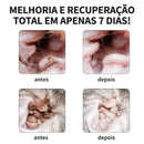 PuroOuvido Pet - Orelhas sujas nunca mais! - 50% DE DESCONTO + FRETE GRÁTIS